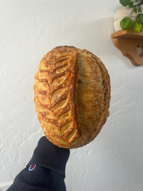 Plain Loaf