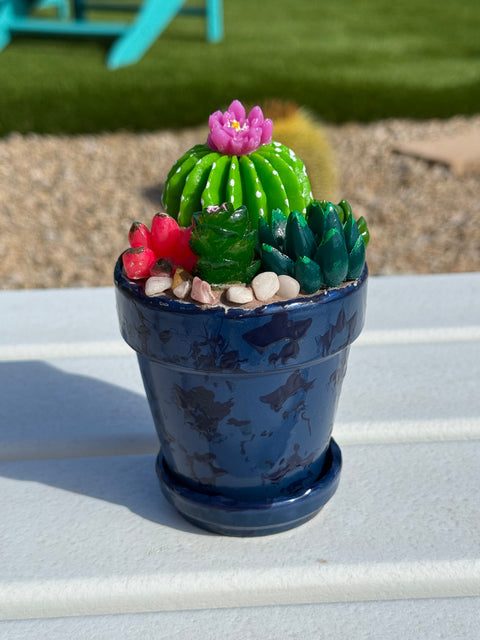 CM Designs 4" Pot Succulent Planters
