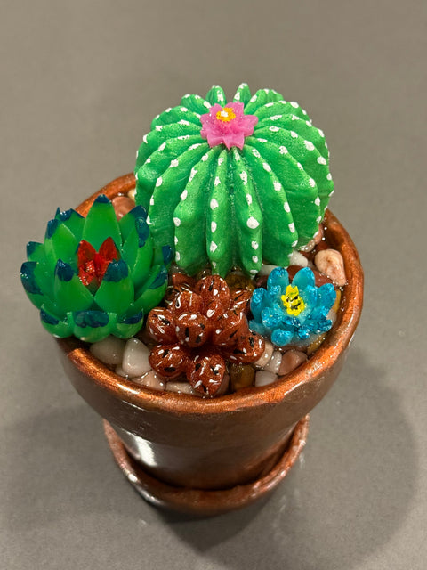 CM Designs 4" Pot Succulent Planters
